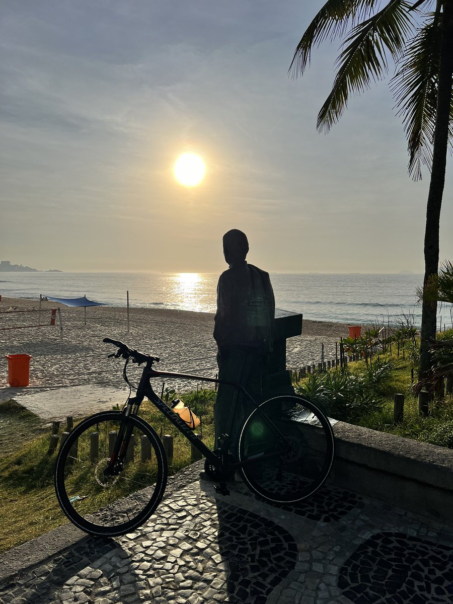 CSVET's tweet image. Ótimo domingo.