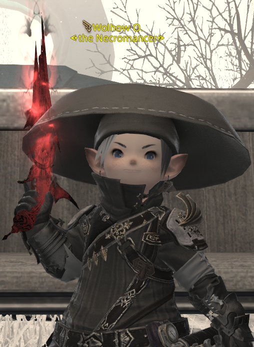 wolhow_ff14's tweet photo. the Necromancer https://t.co/BJzAbMGdMq