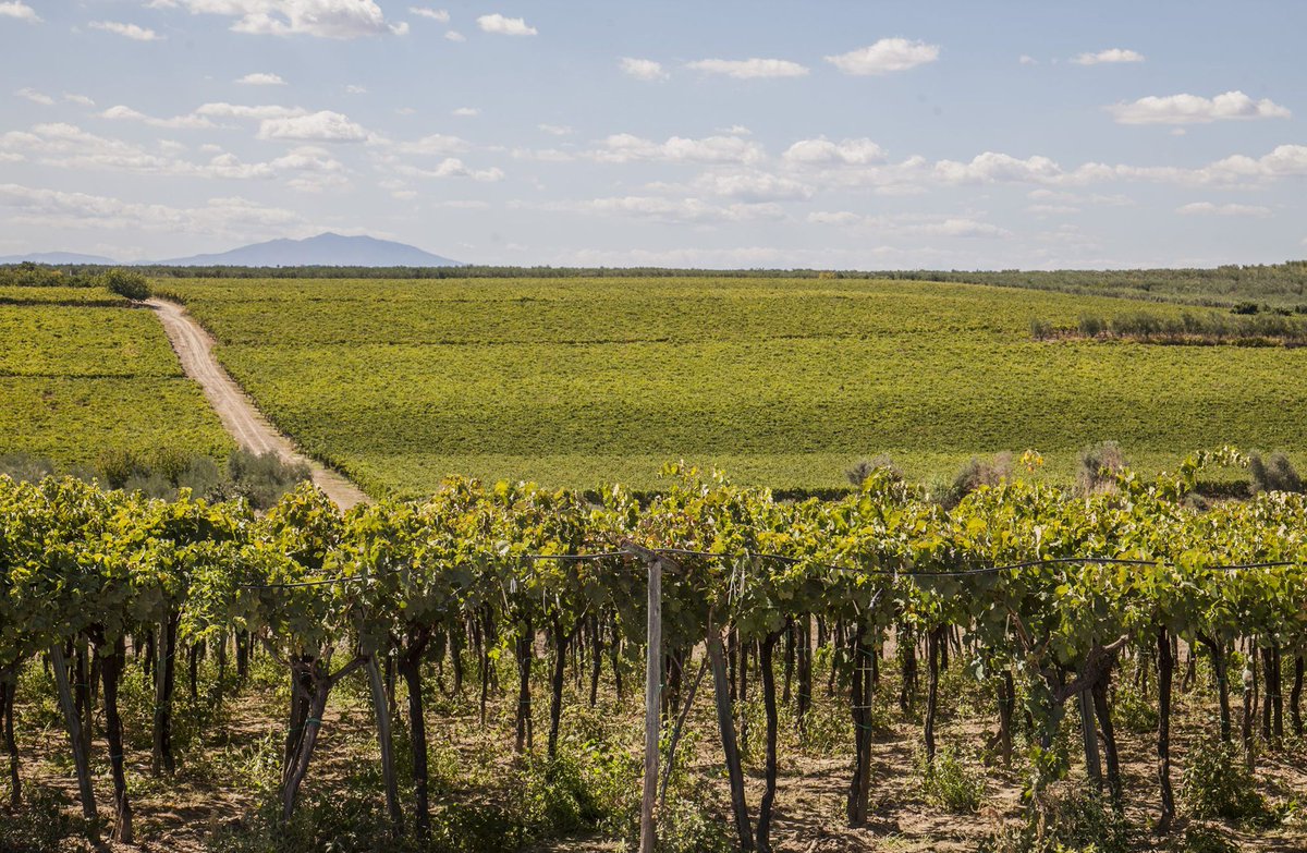 Combine love of art and wine appreciation in our special event on Tuesday evening! 🍇
Join Italian wine consultant Antonio Tomassini and sample four of the finest wines from Puglia and take part in a fascinating masterclass on extra virgin olive oil.
bit.ly/49pPGcA