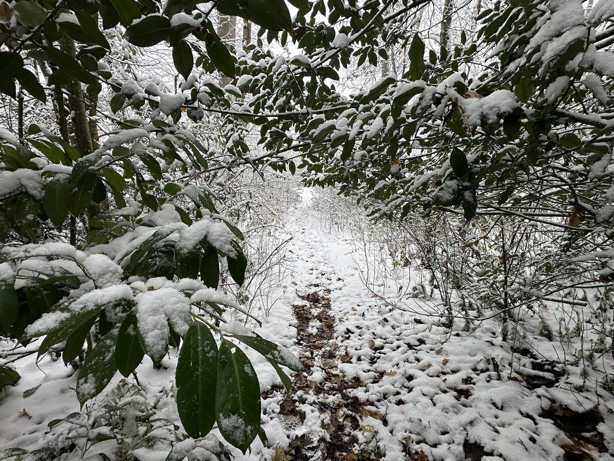 Manel Roura 🎗 tweet media