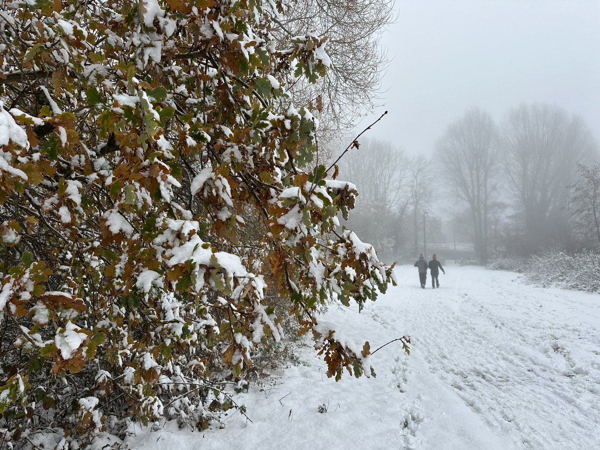 Manel Roura 🎗 tweet media