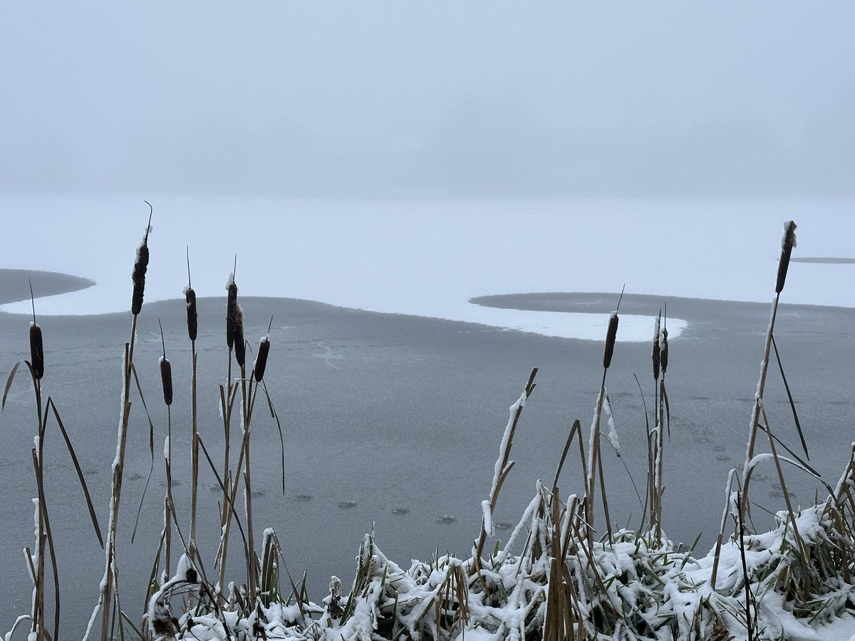 Manel Roura 🎗 tweet media