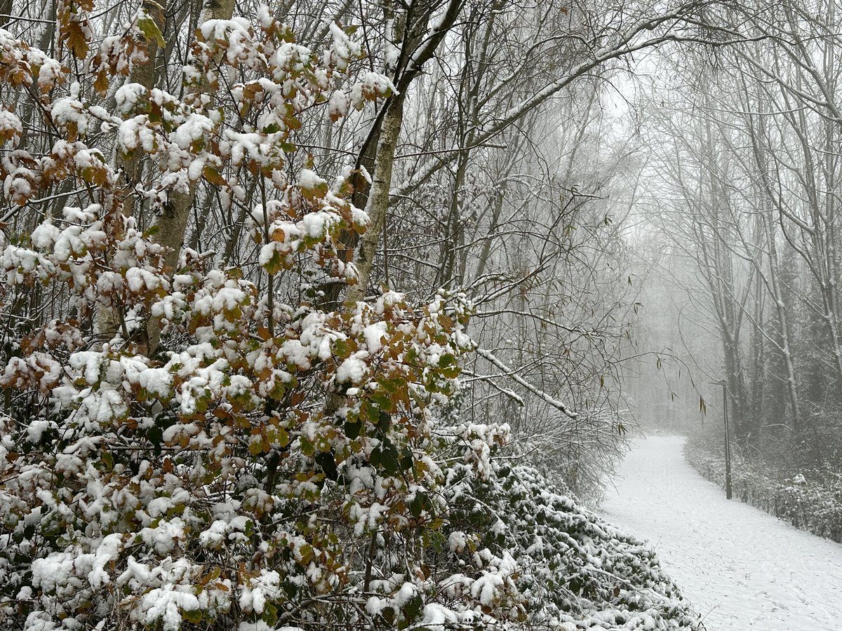 Manel Roura 🎗 tweet media