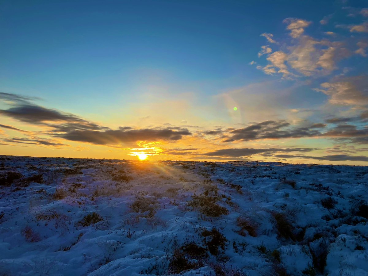Beautiful and Brutal Ultra running yesterday. 99km of all the best and worst kinds of trails. 
The Cheviot Goat Ultra 
I loved it but I won’t be back. #broken #peatbogs #frostbite