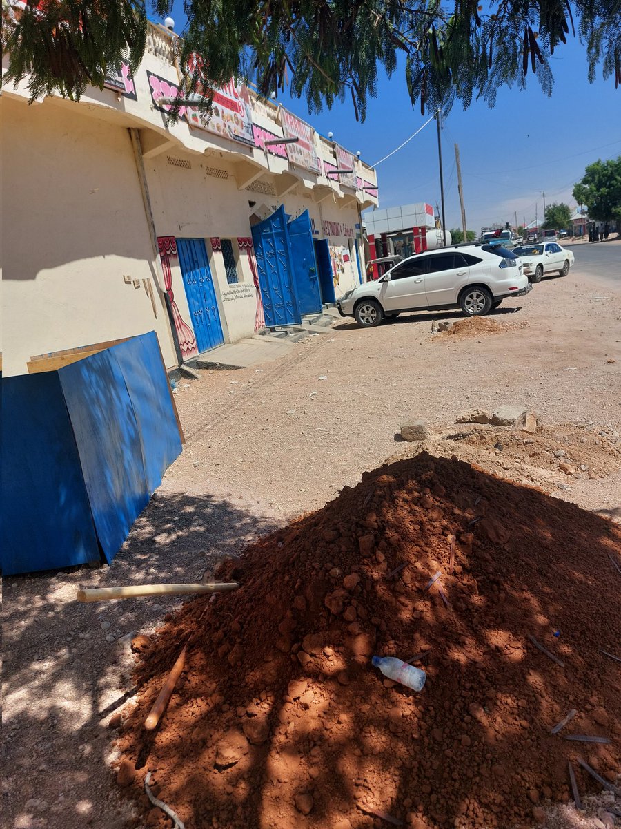 DeegaanC's tweet photo. One-person one-Tree
We are in the first phase of reforestation. Holes are being dug around the road to plant trees, and the diaspora, business companies, and homeowners are participating in the tree-planting efforts by providing funding. https://t.co/CGjwvrMSsO