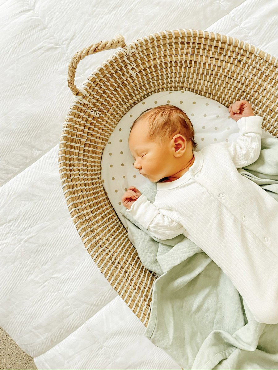 Prolife_Sam's tweet photo. You couldn’t pay me any amount of money to grow, birth, &amp; then give this child away to anyone.

He is not an object to be bought &amp; sold.

No children are.

Ban surrogacy. https://t.co/m0Oqgx3Yk7