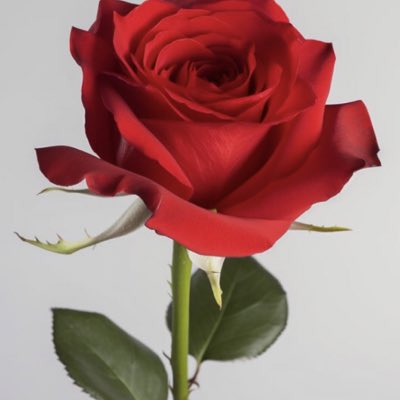 sdech0107's tweet image. #NewProfilePic