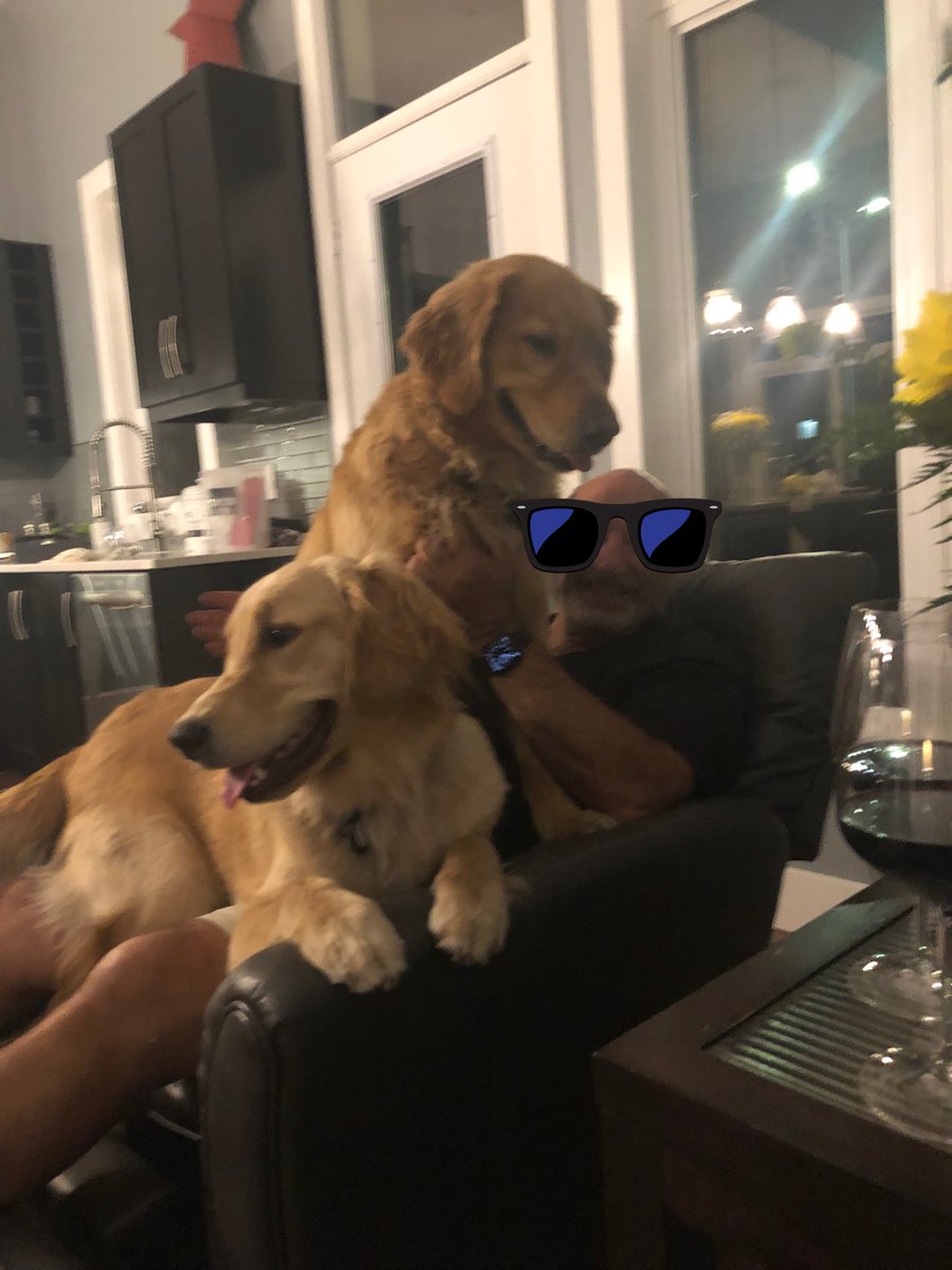 cgbosslady1's tweet photo. Happy Sunday!! This joke is for you Dad! Bowie, what did the bald man say when he got a comb for Christmas?
Bowie: NO IDEA…
Benny: I’ll never part with it!!
Bowie: 🙄🙄🙄
#dogsoftwitter #christmas #SundayMorning #dogs #goldenretrievers #balddad https://t.co/UX9OArxaXA