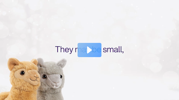 Renrik's tweet photo. Unleash the power of the plushie. Gift critters this holiday season and we'll give 100% of proceeds to @FriendlyFuture in support of youth charities. Get yours https://t.co/XBmtZnEKEe #TeamTELUS https://t.co/6W9JE2bDmG https://t.co/WE6MwZ7ULC