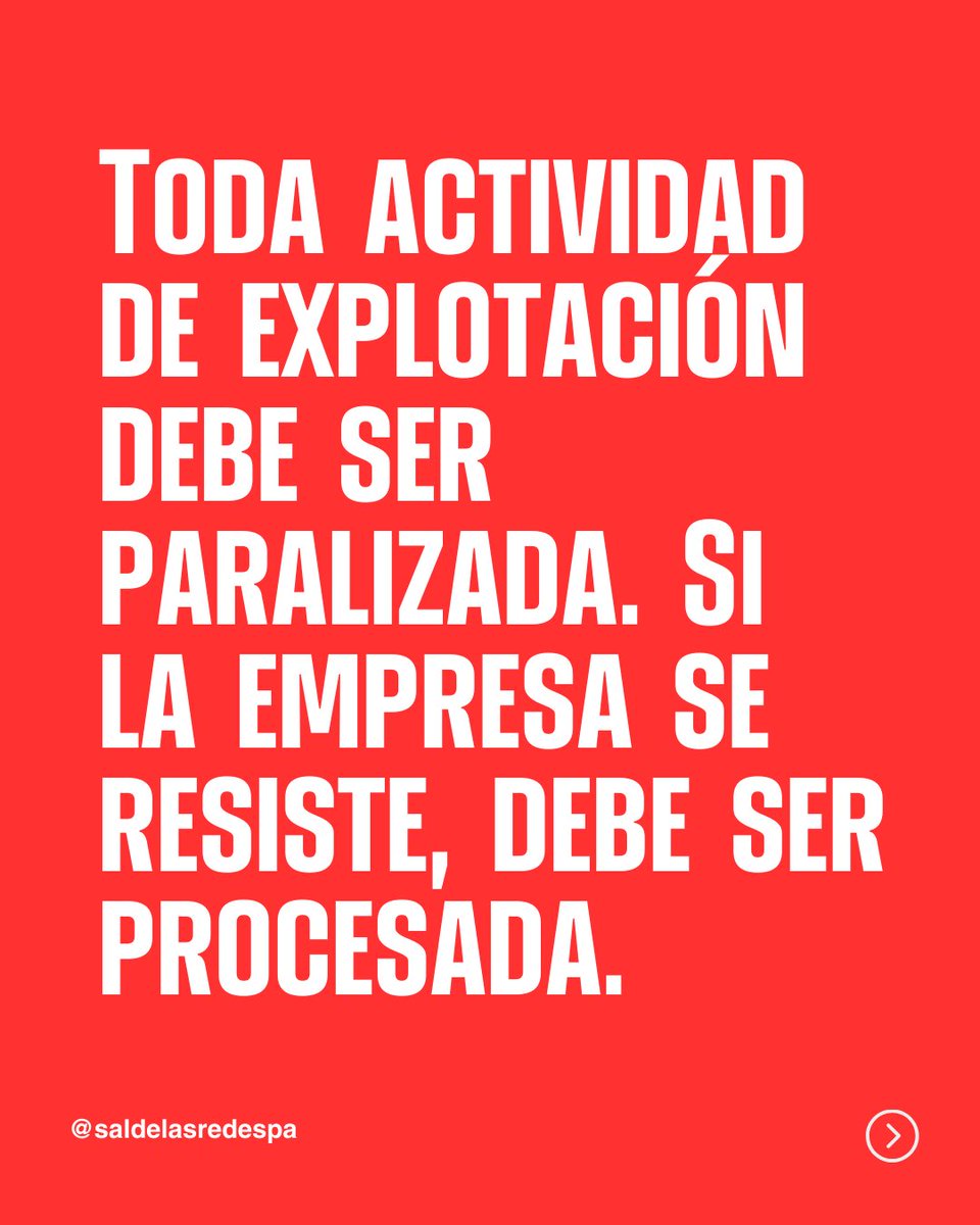 Sal De Las Redes tweet media