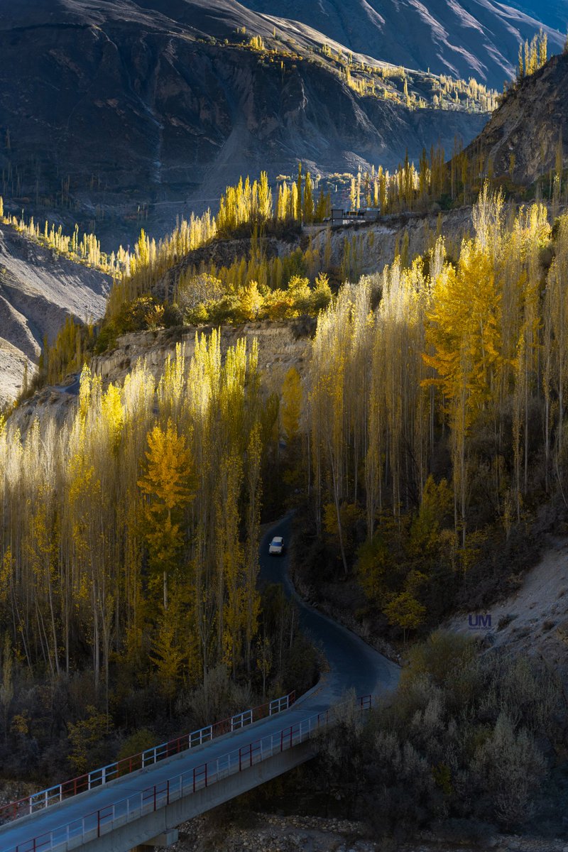 Some beautiful paths cant be discovered without getting lost ...

#autumnleaves #AutumnFalls #Pakistan #photography #photographer #beautiful #feypsv #yellow