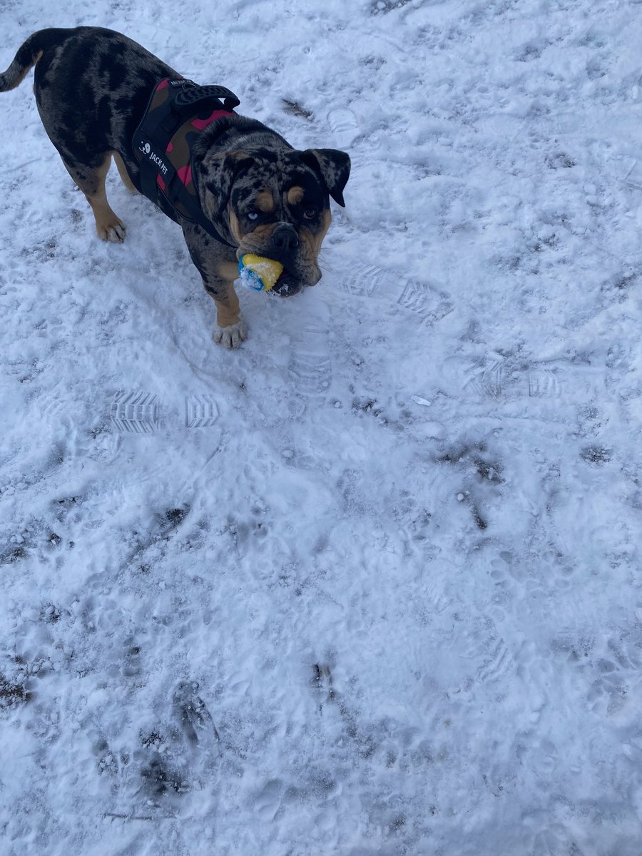 Happy Sunday, friends! Hope you’re all having a great day. Have fun and stay safe 🥰💕💕💕🥰❤️🐾🐾

#SundayFunday #SundayMotivation #SundayMood