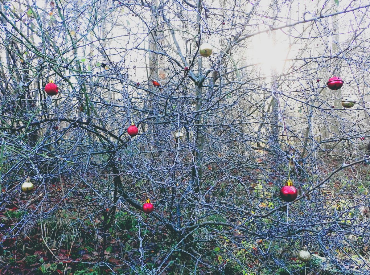 Mick Jones tweet media