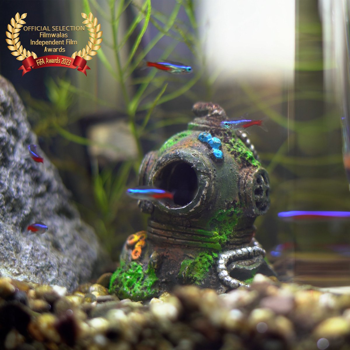 sofiya_10bil's tweet photo. ‘Uyi Nosa-Odia: A Portrait’, the #documentary I directed, was officially selected at Filmwalas Independent Film Awards 2023, #India 🇮🇳🪷 https://t.co/Xb8M8GY9Yn