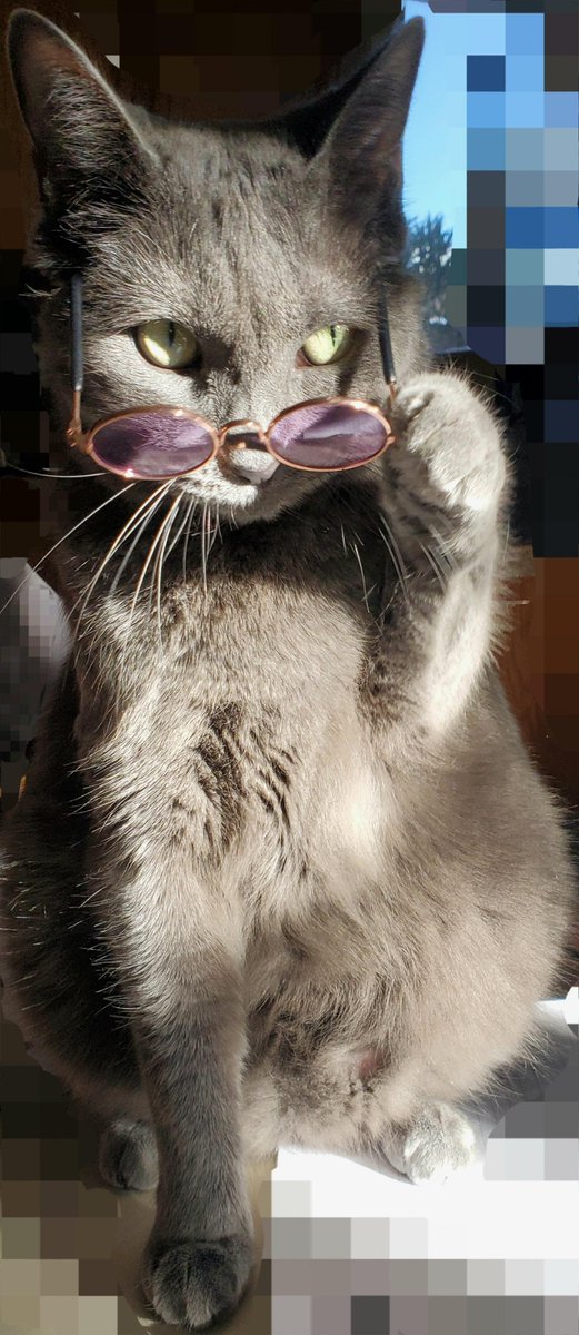 The Best Ever Seen tweet media