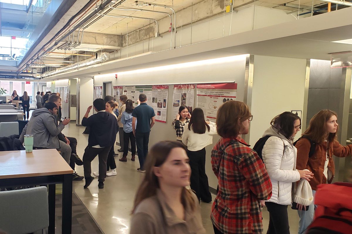Biology Program @ ISU (@biocy_isu) on Twitter photo Biology and Genetics Program hosts an outstanding Undergraduate Life Sciences Research Poster Symposium. <a href="/BioCy_ISU/">Biology Program @ ISU</a>, <a href="/ISU_Genetics/">ISU Genetics</a>,
<a href="/gdcbisu/">GDCBISU</a>, <a href="/eeob_isu/">EEOB @ ISU</a>, <a href="/bbmbisu/">BBMB at Iowa State</a>, <a href="/las_iastate/">Iowa State College of Liberal Arts and Sciences</a>, <a href="/iastate_cals/">ISU College of Agriculture and Life Sciences</a>, <a href="/IowaStateU/">Iowa State University</a>, <a href="/ISUHonors/">Iowa State Honors</a>, <a href="/isualum/">Iowa State University Alumni Association</a>, <a href="/SakaguchiLab/">Sakaguchi Lab @ ISU</a>, #InnovateAtIowaState Biology and Genetics Program hosts an outstanding Undergraduate Life Sciences Research Poster Symposium. <a href="/BioCy_ISU/">Biology Program @ ISU</a>, <a href="/ISU_Genetics/">ISU Genetics</a>,
<a href="/gdcbisu/">GDCBISU</a>, <a href="/eeob_isu/">EEOB @ ISU</a>, <a href="/bbmbisu/">BBMB at Iowa State</a>, <a href="/las_iastate/">Iowa State College of Liberal Arts and Sciences</a>, <a href="/iastate_cals/">ISU College of Agriculture and Life Sciences</a>, <a href="/IowaStateU/">Iowa State University</a>, <a href="/ISUHonors/">Iowa State Honors</a>, <a href="/isualum/">Iowa State University Alumni Association</a>, <a href="/SakaguchiLab/">Sakaguchi Lab @ ISU</a>, #InnovateAtIowaState