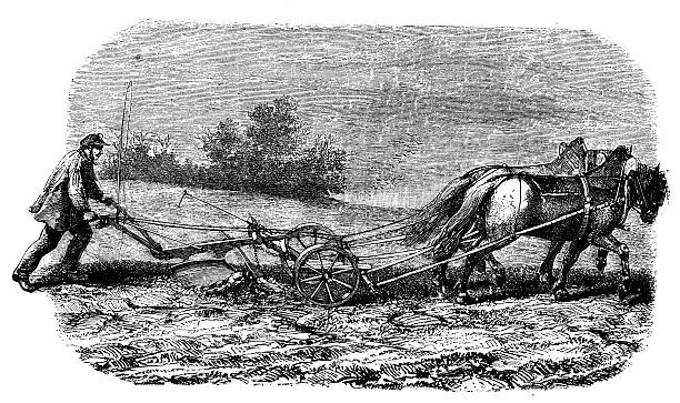 #FolkloreSunday In Shropshire, certian behaviours were seen as taboo during the Christmas period. One shouldn’t use horses to plough or any farm work. Women should not spin, and the animals should be rewarded during this time, with extra portions.