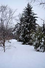 <a href="/vip88d/">Vipin Dhir</a> Wishing you a warm &amp; cozy Sunday, Vipin! Relax &amp; enjoy the last day of the weekend.☺️🙏🤍🌲❄️☀️