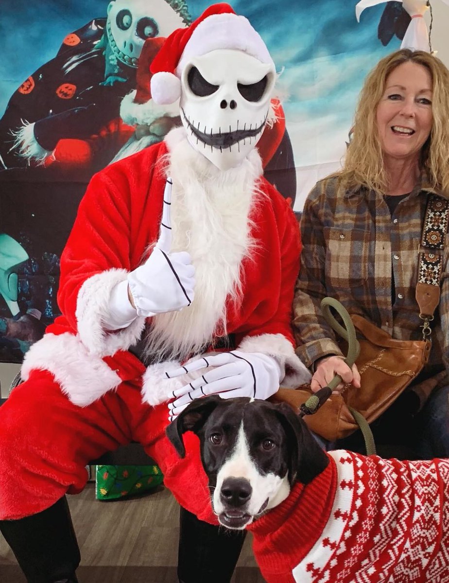 DogWalkOfTheDead tweet media