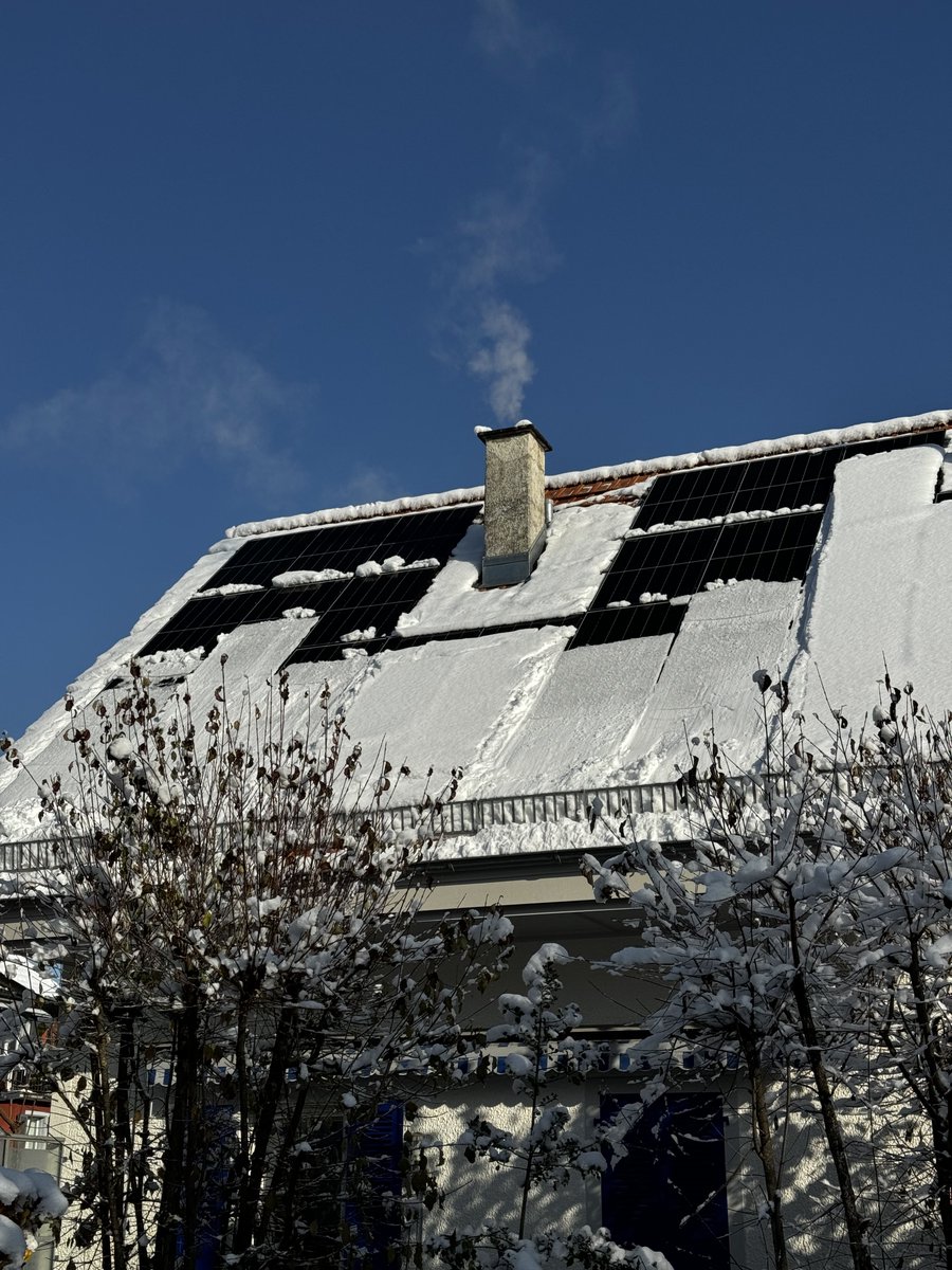 jcfrick's tweet image. Schneerutsche ❄️#PVBuddies