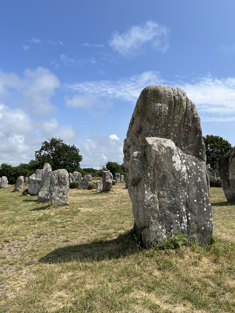 The alignments of Kerzerho, Erdeven, Brittany, in June 2023. #StandingStoneSunday