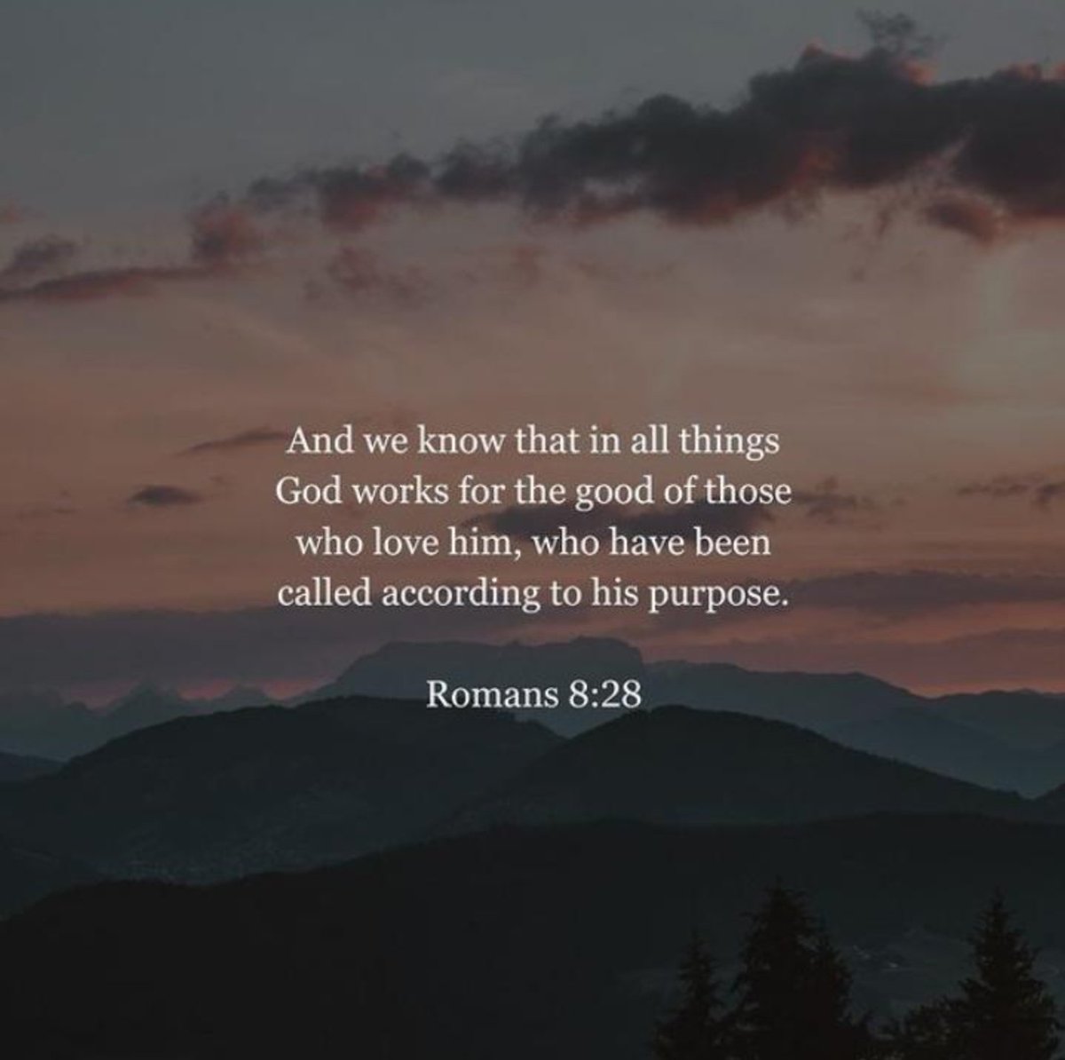 Scripture of the Day😇✝️