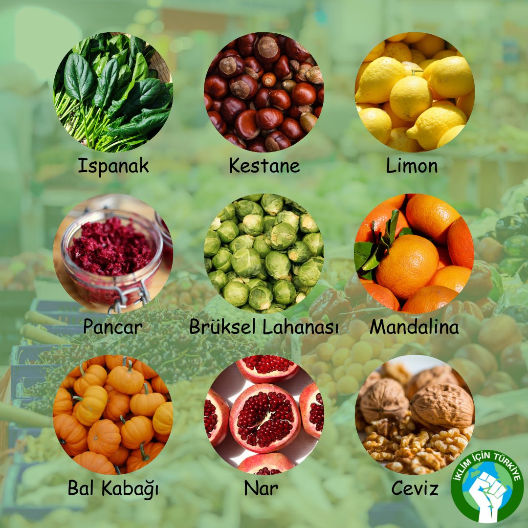IklimTurkiye's tweet photo. Kış geliyor, sürdürülebilir tarım ile hem sağlığımızı koruyabilir hem de karbon ayak izimizi azaltabiliriz. O zaman Aralık ayının meyve ve sebzelerine birlikte bakalım! 🥬🌰🍋🍊 https://t.co/UORtx4582P