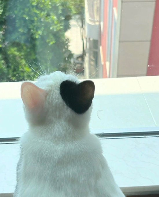 この位置のハートは初めて目にする、まさに奇跡…