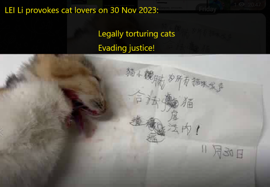 CatAbusers_CN's tweet photo. The #catabuser is found to be LEI Li 雷厉, a useless garbage who's hiding behind his father, a retired CCP member. Tortures cats for >10 yrs, exposed 2 times, yet not consequence. His info is all over internet, yet no police go after him #China @AmbXieFeng https://t.co/objT91kfbt