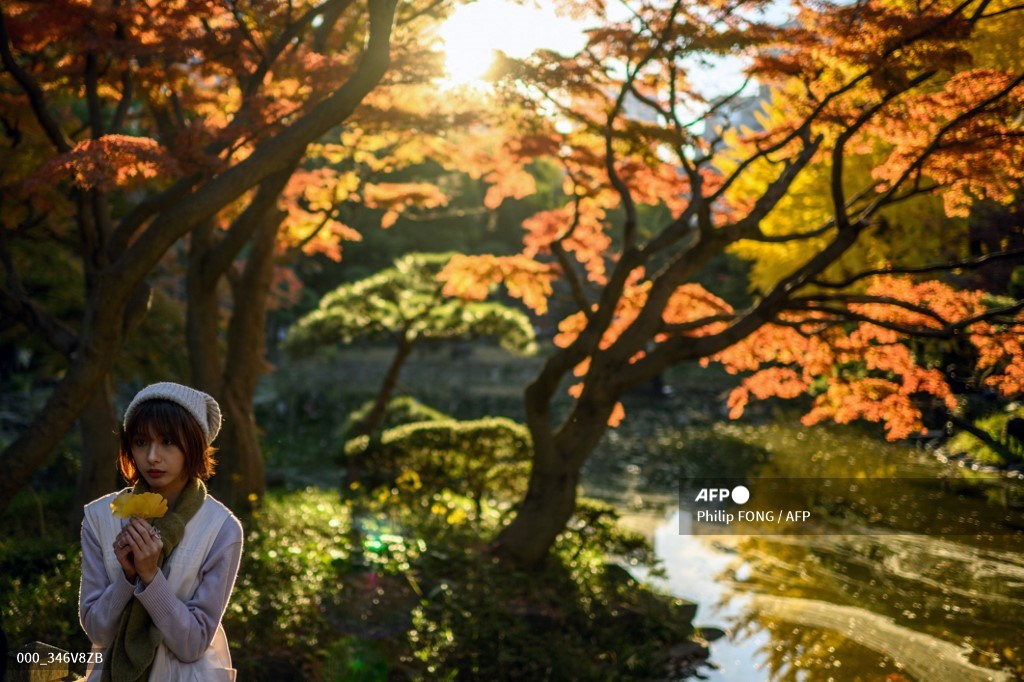 #Japan A woman poses with trees in the background in autumn foliage at Hibiya Park in Tokyo. 📷 @fong_fifi #AFP