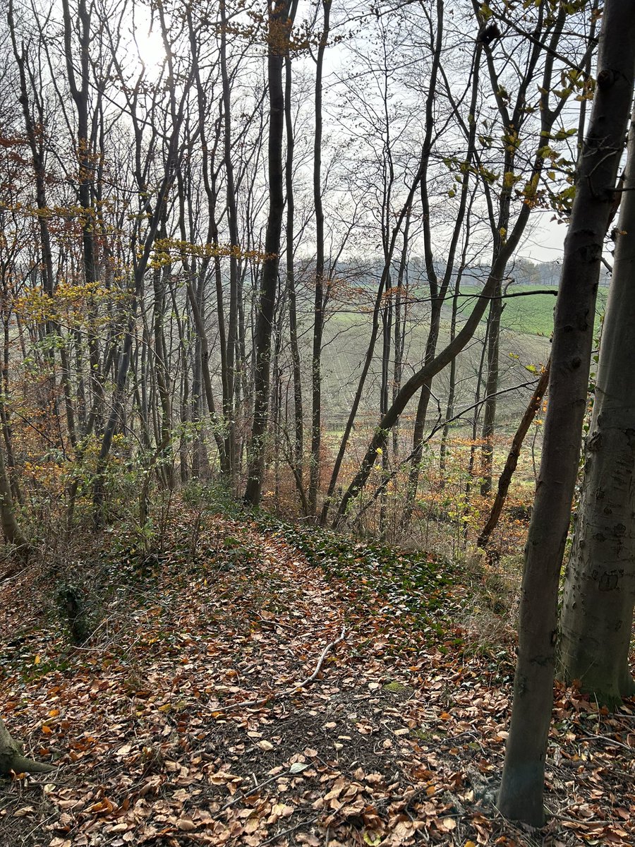 Heerlijk weer in <a href="/magnifiekZL/">Magnifiek Zuid-Limburg</a> te zijn.
#Julianagroeve #Cadierenkeer