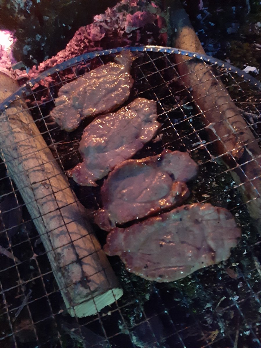 冬キャンプ初です。
お肉を食べてます🥩
寒暖差が酷く、寒くなりすぎ😭
#キャンプ #冬キャンプ #ソロキャンプ #ソロキャン #BBQ #双極性障害
 #双極性 #躁