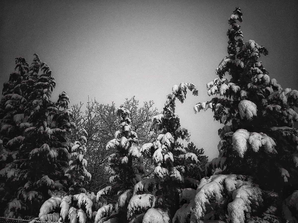 Sněhové ticho v Praze. #snow #sníh #prague #silence #ticho #mundomendozova