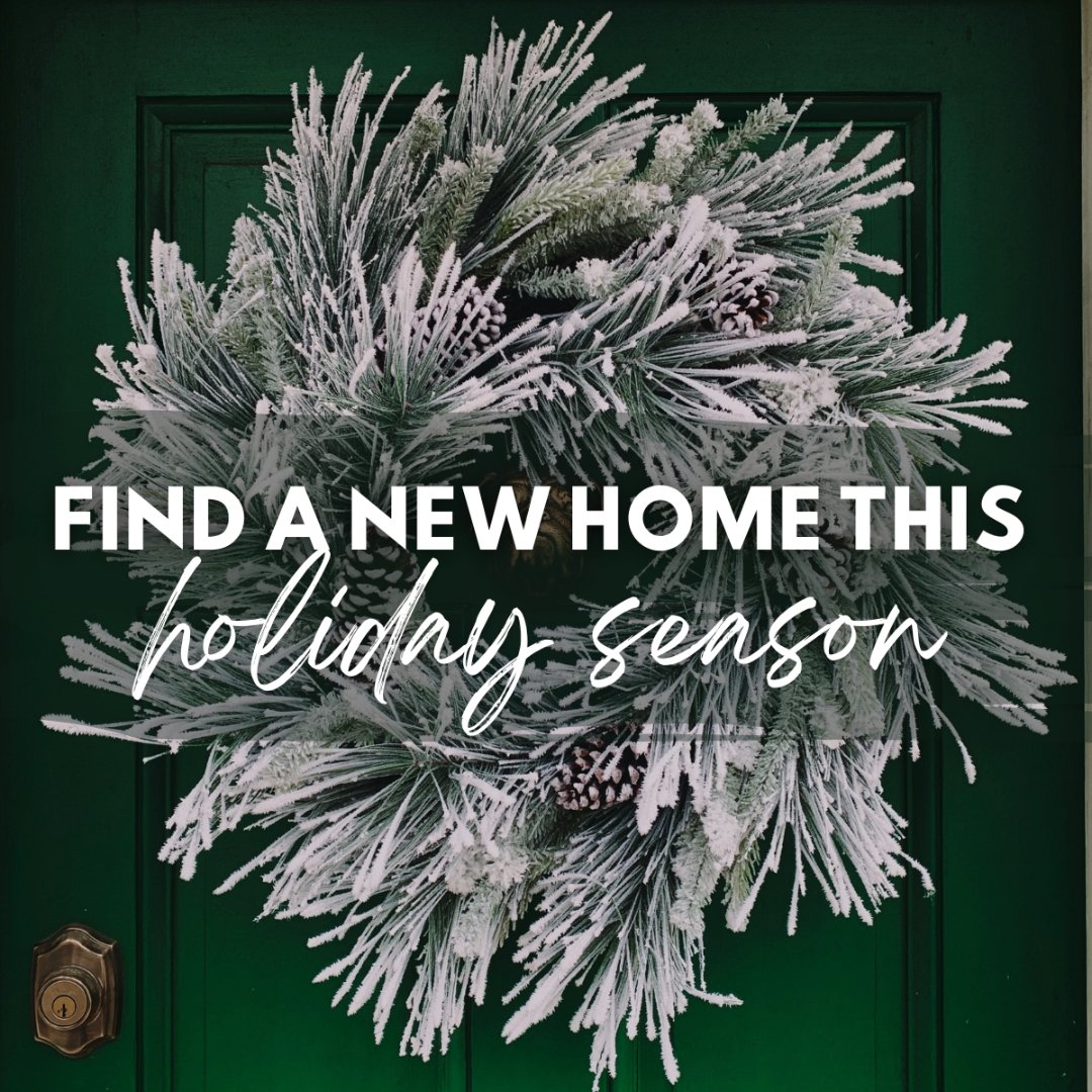 Dreaming of stepping into a new home as you welcome the new year? 🏡 

Let's make that dream come true! Reach out, and together, let's pave the way to your dream home.

#newyearnewhome #homebuyingjourney #dreamhomegoals #letsconnect #homebeforeholidays