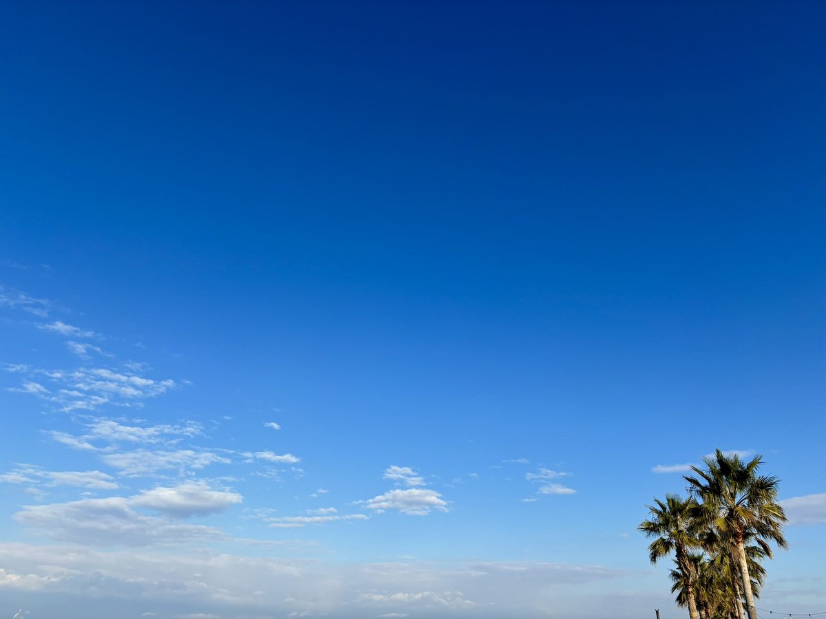 sweety1515's tweet photo. きれいな青。 https://t.co/Whv7D4qr5J