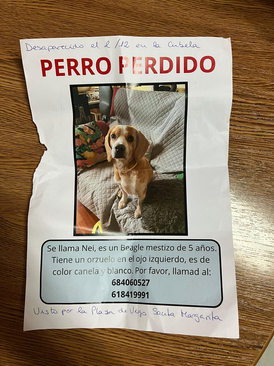 <a href="/silcerino/">Silcerino</a> Por favor X haz tú magia y si alguien ve a este perrito perdido que llame a estos números.Desapsreció ayer por los fuegos artificiales y lleva dos meses adoptado.Tiene Micro Chip y la policía local está al tanto.Gracias.