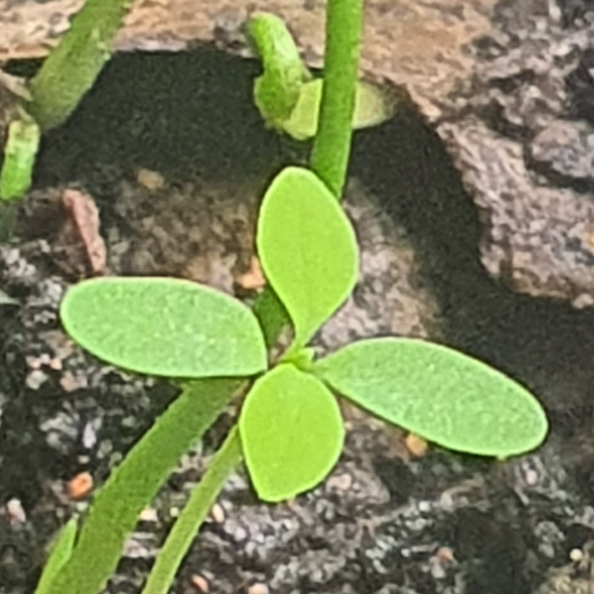 Digital Makers Web tweet media