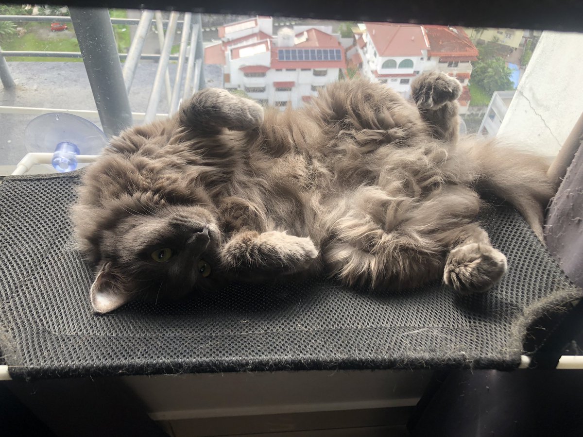 SeraphHere's tweet photo. Rolling grey cloud https://t.co/gn4XfvyxQP