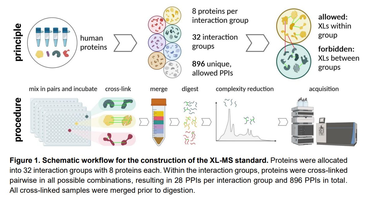 PROTEOME-SCALE RECOMBINANT STANDARDS AND A ROBUST HIGH-SPEED SEARCH ENGINE TO ADVANCE CROSS-LINKING MS-BASED INTERACTOMICS biorxiv.org/content/10.110…

---
#proteomics #prot-preprint