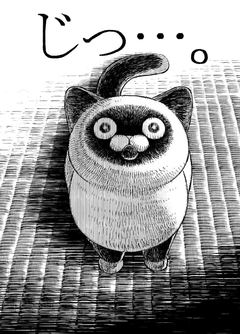 何もない所を見つめる猫を目撃してしまった元極道の話。

#漫画が読めるハッシュタグ 
