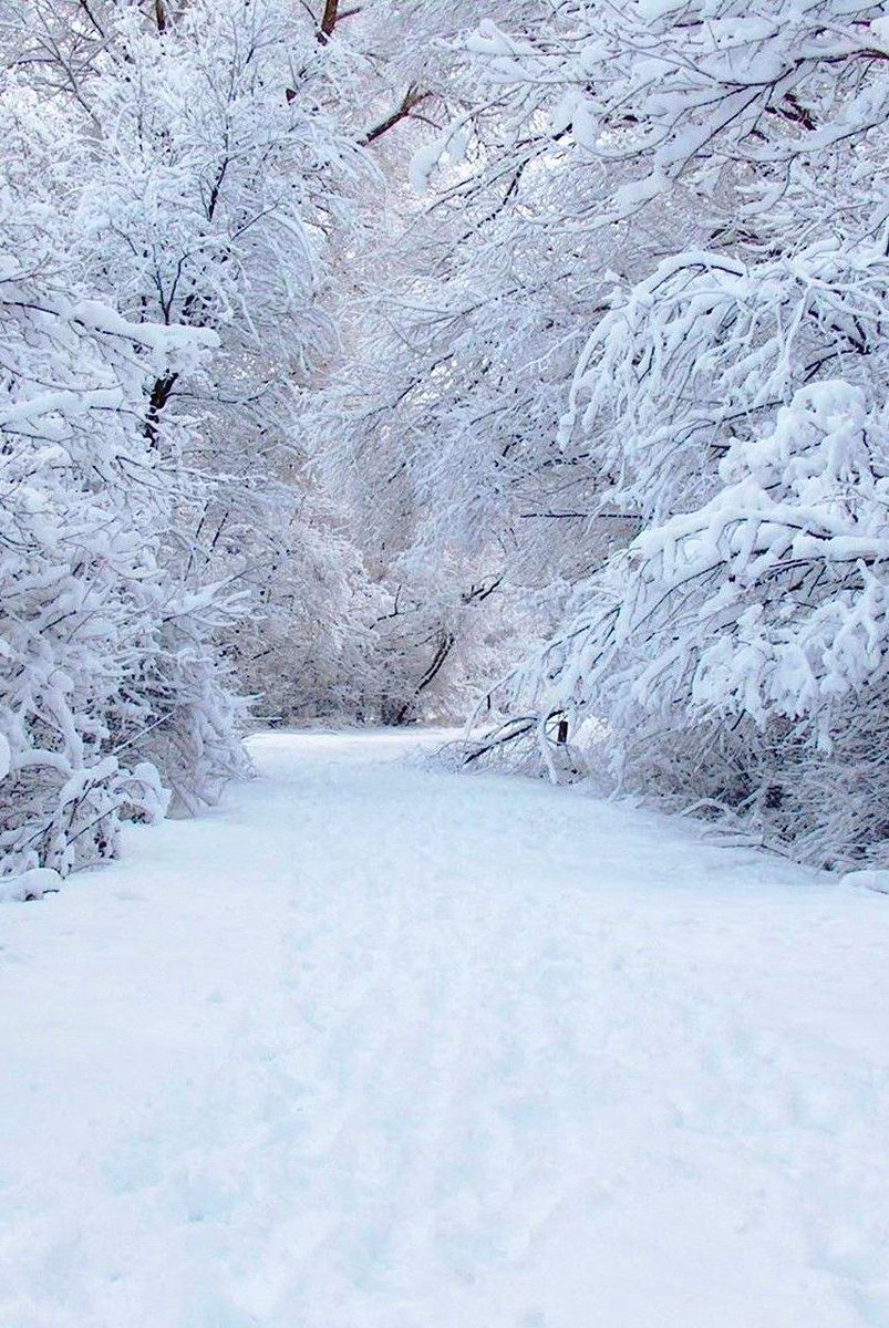 The ⳿art of ⬝snow carving. 🥰