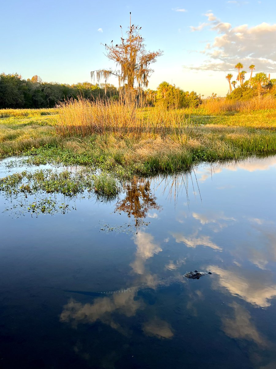 Cloud Reporter tweet media