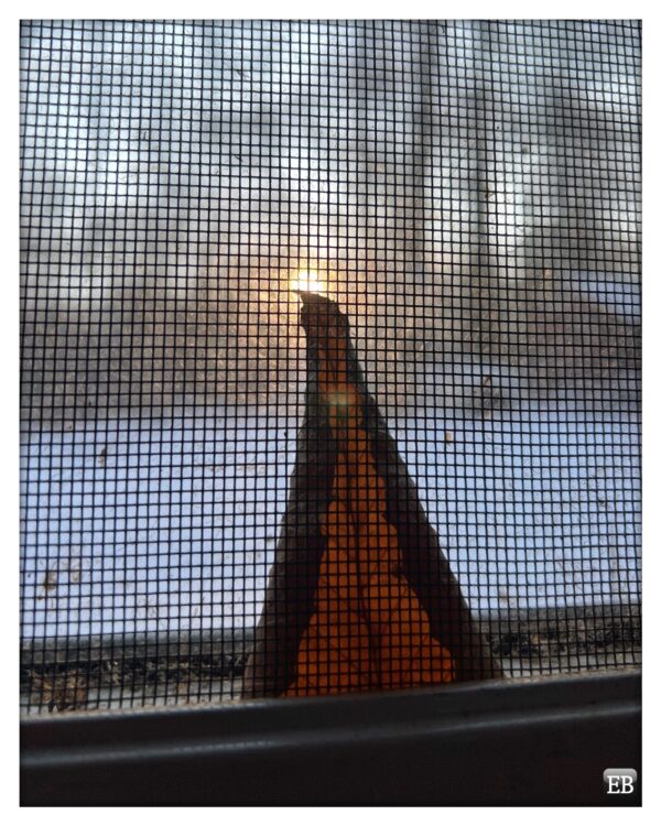 Eric_Brazier's tweet image. “Curl and Flare” is.gd/8jMYZL #TheDailyMobile #photography #Curled #Dried #DriedLeaves #Dry #FallenLeaves #Grid #Leaf #Orange #Screen #Snow #Sunlight #Translucent #Trapped #Winter #Wintertime
