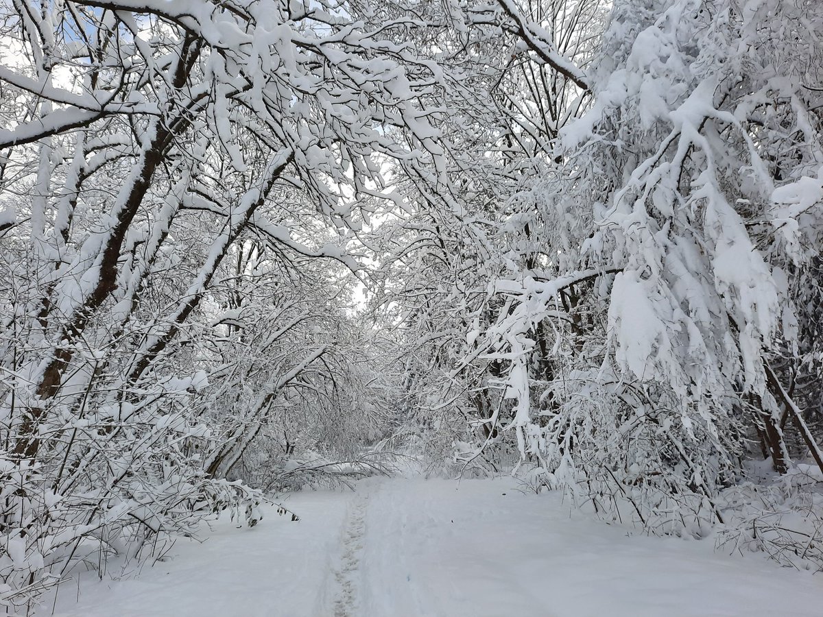 Ich: So ein Winterspaziergang wär doch jetzt nett.
Der Weg: You Shall Not Pass!!!