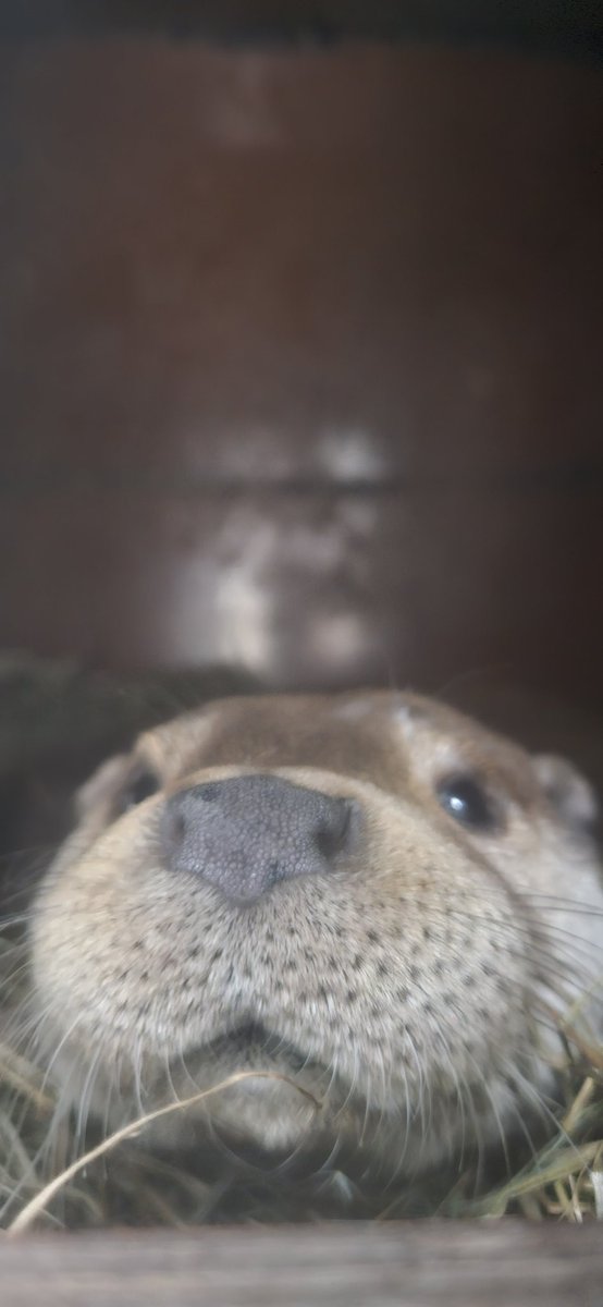 You got games on your phone?