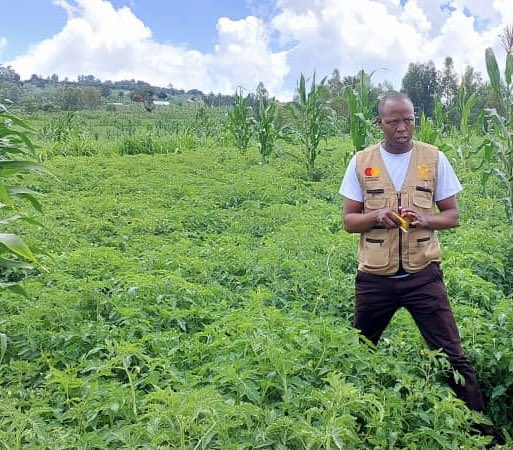 Excellent week in Rwanda, engaging with youth owned MSEs &amp; farmer groups in various districts. They are enthusiastic and prepared to receive support from CARE Rwanda and CARE Canada's new SERVE project, focused on generating youth employment in Ag Value chains <a href="/careinrwanda/">CARE Rwanda</a>
