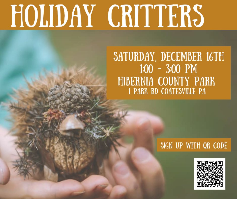 Join Ranger Rhine for a lesson in creating holiday critters using only natural materials (and a little hot glue). We will supply all materials, but you can also bring your own natural materials. Register at chesco.org/parkprograms.

Saturday, Dec. 16,  1-3 PM
Hibernia Park
