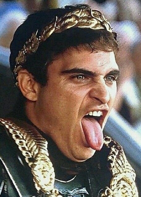 El_Vitalista's tweet photo. El trabajo más importante del mundo.
No, no estoy hablando de psicólogo para mascotas.

Seguro que has escuchado de Marco Aurelio, uno de los emperadores más poderosos y ricos de la historia que, además, era un gran filósofo. El autor de Meditaciones y una leyenda que nos ha enseñado como actuar correctamente mediante su ejemplo y pensamientos durante generaciones y generaciones.

Hizo vivir bien a su gente y mil cosas más. Un hombre inmenso, uno de esos casos raros en donde alguien con un poder extraordinario está a la altura de las circunstancias. Uno de los tipos más sabios que ha pisado la tierra.

El único defecto, el único error que podemos atribuir a este gran hombre, es su hijo Cómodo (seguro lo recuerdas es Joaquin Phoenix en el gladiador). No sabemos si el error de Marco Aurelio fue ceguera por amor o no poner más atención y esfuerzo en Cómodo, pero es un error que resultó caro para miles.

Cómodo fue uno de los peores emperadores de Roma:

1. Heredó un tesoro bien provisto y literalmente se lo gastó todo en un par de años, llevando al Estado a la bancarrota.

2. Provocó indirectamente una hambruna y una depresión económica.

3. Purgó el Senado y mató a todos los que se le oponían. Todos los generales y políticos de talento estaban muertos o exiliados.

4. Su muerte supuso el fin de una dinastía y condujo a un siglo de enorme inestabilidad. Antes de Cómodo el imperio estaba en su apogeo de poder - después de él vemos el imperio comenzar su larga decadencia.

Fue una de las peores personas que han existido:

1. Cómodo era un gladiador (en su mente). Sin embargo, no luchaba limpiamente: no se puede dejar que el emperador muera a manos de un esclavo en la arena. Así que a sus "oponentes" se les daban armas falsas o desafiladas o se les hería antes del combate. Estaba obsesionado con el estatus.

2. A Cómodo le encantaba matar a cualquiera que le pareciera "raro" en la arena. Luchaba contra enanos y actuaba como un gran gigante, torturaba a lisiados e incluso mataba a mujeres.

3. A menudo alargaba sus peleas de gladiadores y evitaba intencionadamente las arterias principales para que su oponente sufriera.

4. Si un senador se perdía una de las peleas de gladiadores de Cómodo, rápidamente era asesinado o exiliado.

5. Cuando su mejor amigo fue sorprendido provocando una hambruna para hacer subir el precio del grano, Cómodo lo entregó literalmente a la multitud enfurecida para apaciguarla, a pesar de que el propio Cómodo confiaba en este plan para recaudar dinero para más juegos de gladiadores.

Casi todo lo bueno que había logrado Marco Aurelio fue destruido por el mal hijo que dejó en la tierra luego de su muerte.

No me malinterpretes, pienso que Marco Aurelio fue un neto positivo, me sentiría avergonzado parándome a su lado. Sus enseñanzas siguen aportando casi 2 mil años después, pero la mayoría no somos Marco Aurelio, la mayoría no dejamos ideas e inspiración milenaria ni controlamos recursos con el potencial de cambiar la historia. La mayoría solo dejamos hijos y nuestras ideas y valores se expanden en el tiempo solo con ellos.

Por eso pienso que este es el trabajo más importante del mundo.

¿Quieres impactar positivamente en el mundo durante generaciones y generaciones incluso después de morir? Sé un buen padre. No necesitas curar el cáncer, ni resolver la crisis energética. Solo sé un buen padre.

No dejes escoria que haga del mundo un lugar peor. Haz los sacrificios necesarios, no te conformes con el mínimo. Sé lo mejor que puedas y luego intenta que tus hijos sean mejores que tú.

Ni siquiera tienes que limitarte a tus hijos, ayuda a cualquiera de una generación más joven, empieza por ti, enseña a otros. Construir un futuro mejor es así de simple.