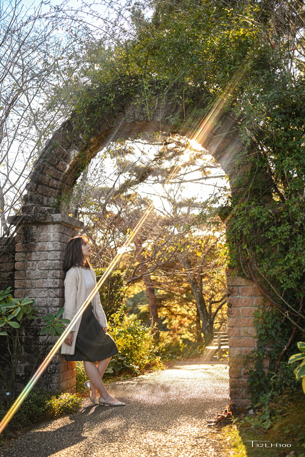 T32LH100 tweet media