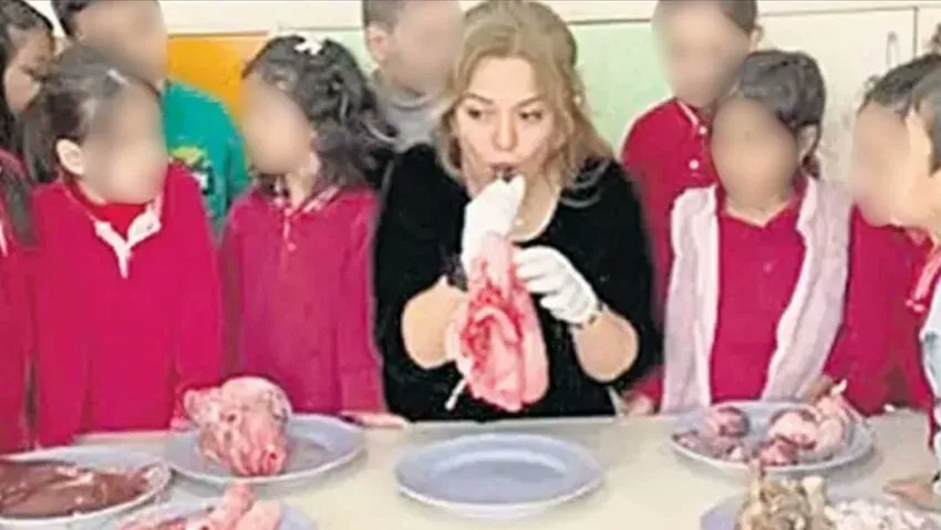 Sosyal medyada yaklaşık 650 bin takipçisi bulunan bir ana sınıfı öğretmeninin, sınıfta gerçek hayvan organlarıyla ders işlenmesi tartışmalara neden oldu:

“Beni anlamamanız o kadar normal ki çünkü ben Anadolu’nun bağrında gerçekçi nesiller yetiştiriyorum. Siz Avrupa’nın